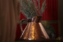 La Plante d'Absinthe